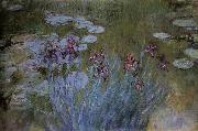 Claude Monet Irises and Water Lillies china oil painting reproduction
